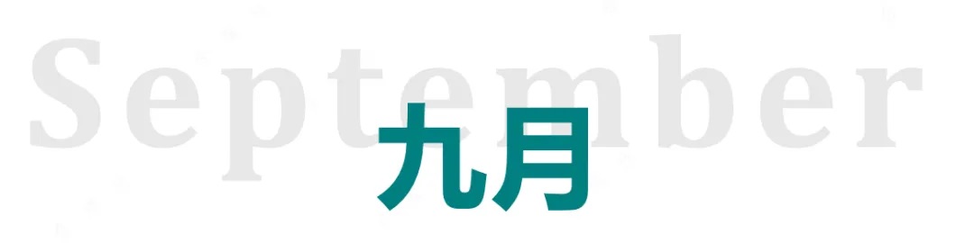 2024年回顾：数据安全治理与个人信息保护（法规政策篇）