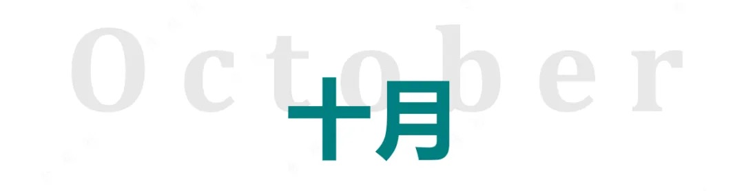 2024年回顾：数据安全治理与个人信息保护（法规政策篇）
