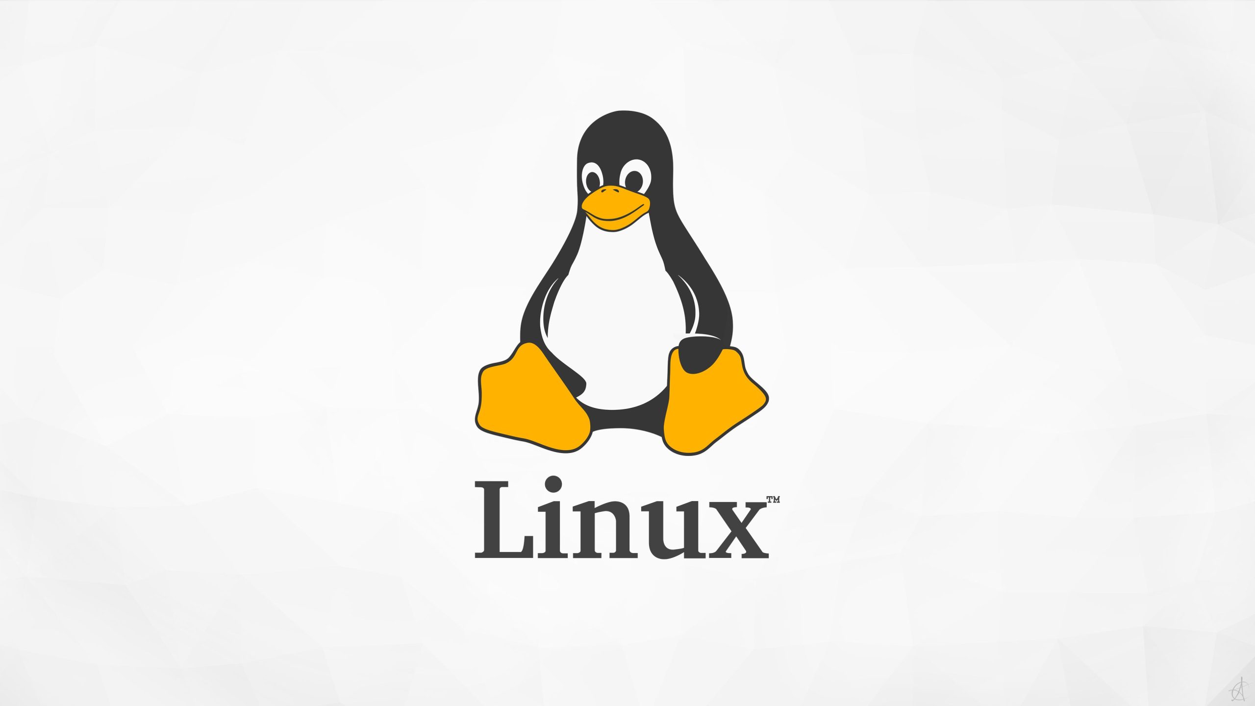 Linux下挂载磁盘相关命令