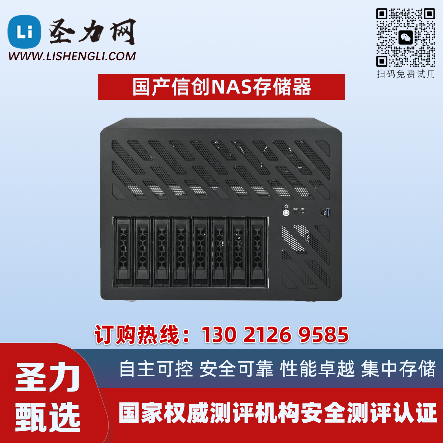 国产信创NAS存储器