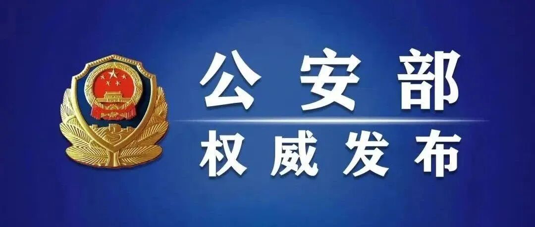 公安机关网络空间安全监督检查办法（公安部令第176号）